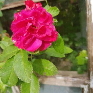 Meet your Posher, Jay